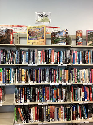 Puzzles and hard bound books are categorized by authors’ names.